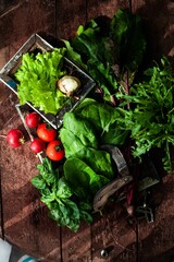 radishes in the garden