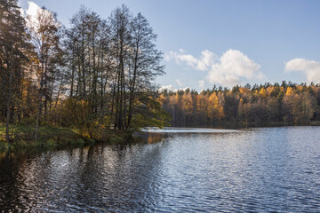Fototapeta premium Sunny autumn in the park. Autumn landscape with colorful yellow, orange and red trees and reflection in the pond.