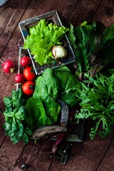 vegetables on the table
