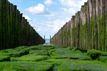 View on wooden poles at white sandy North sea beach near Zoutelande, Zeeland, Netherlands