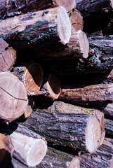 stack of firewood