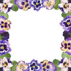 watercolor frame of pansies, hand drawn floral illustration isolated on white background