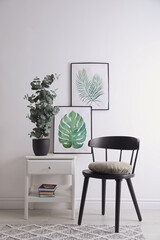Stylish room interior with chair, beautiful paintings and potted eucalyptus plant
