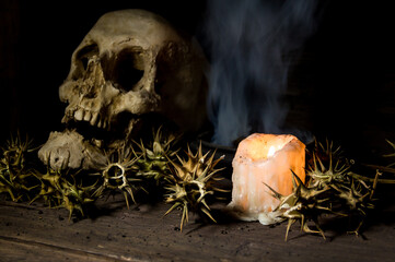 burundanga fruits and seeds with a human skull fire and smoke
