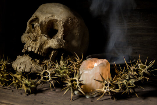 burundanga fruits and seeds with a human skull fire and smoke