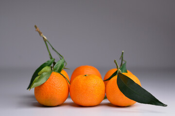 Tangerine or clementine with green leaf isolated on grey background. Mandarins with green leaves. 