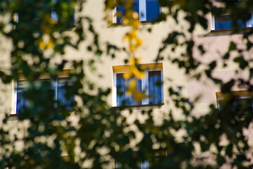 Miasto blok mieszkalny (wieżowiec ) . Widok przez jesienne liście drzew . City, block of flats (skyscraper). View through autumn leaves of trees.  - obrazy, fototapety, plakaty