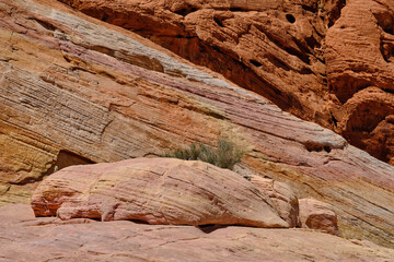 Red Aztec Sandstone and pink and yellow rocks shine in the Nevada Desert
