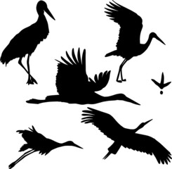 Set of hand drawn black stork silhouette birds, vector file