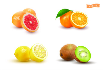 Realistic set of fruits vector illustration isolated on white.