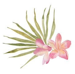 Plumeria and palm leaf. Watercolor Hand drawn botanical illustrations composition. Isolated on white background. Summer beach print. For design, textiles, wear.