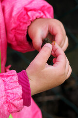 Little girl in pink in detail on her hand holding a centipede in her fingers.