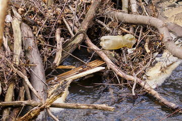 Pet bottle stuck in driftwood in the river.