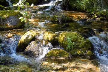 River in a national park in Macedonia. Water between rocks with mosses, vegetation and wooden bridges or footbridges.