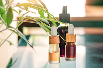 Bottles with Cannabis CBD or THC full spectrum oils Medical Marijuana plant leafs