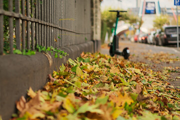 Herbstlaub in der City