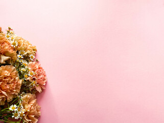 Border banner with carnations on a pink background, top view, copy space. Summer, spring web banner background, cozy flat lay. Lay out, top view. Postcard with delicate flowers. Place for text