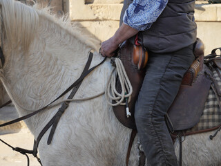 F&ecirc;te villageoise