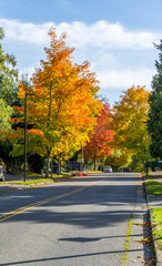 Fototapeta premium Autumn Burien Street 7