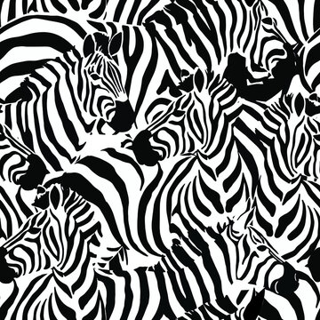 Striped zebra seamless pattern Vector