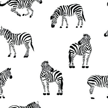 Striped zebra seamless pattern Vector