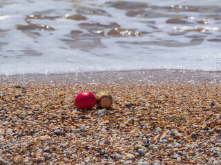 Easter eggs on the beach.  Two painted Easter eggs lie on the seashells of the sea beach at the water's edge on a blurred background of sea foam. Beach happy Easter background