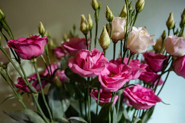 red and white rose flower bouquet on bright green background