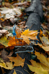 Autumn sale, Black Friday. Mini toy Grocery Shopping trolley cart with fall leaves on autumn nature background.