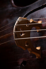 The bridge of an acoustic wood double bass with strings