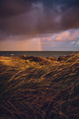 Fototapeta premium Rainbow on the horizon over the northern Sea.