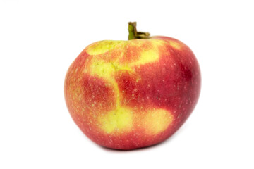The sweet Lobo Apple Fruit