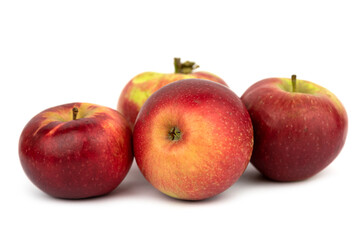 The sweet Lobo Apple Fruit