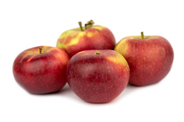 The sweet Lobo Apple Fruit
