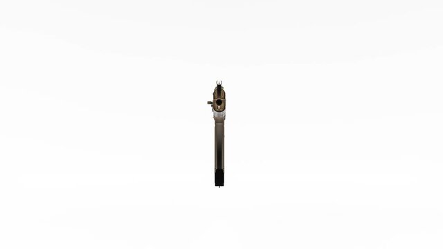 3D Gewehr von allen Seiten - Loop