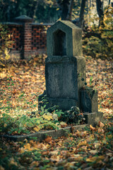 nagrobek na starym cmentarzu w Opolu (Polska)
