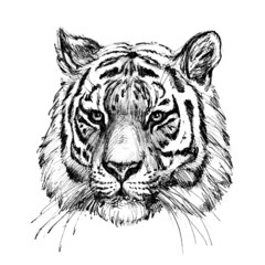 New Year set 2022_symbol_tiger 04_jpg