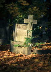 nagrobek na starym cmentarzu w Opolu (Polska) - obrazy, fototapety, plakaty