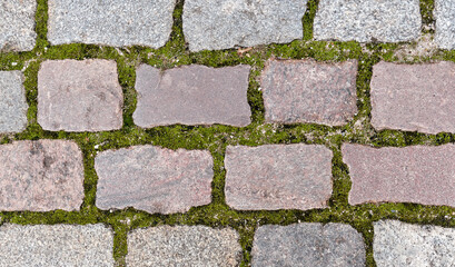 Granite pavement from rectangular shaped stones, overgrown with moss as background