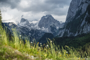 Obraz premium The Dachstein summit mountain range and visible glacier ice during summertime at Gosau, Upper-Austria, Europe