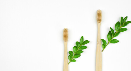 Wooden toothbrushes on a white background with green leaves. Eco-friendly personal care products