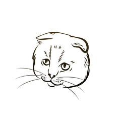 Cat head vector sketch on a white background.