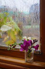 Small bouquet of snapdragon flowers on a windowsill with misted glass