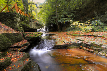 Turkey is located in Bursa Mustafakemalpaşa Suuçtu waterfall and Autumn beech forest. Every tone of colors is in this forest. Yellow, green, red, orange.