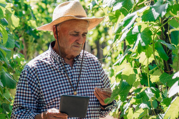 farmer with technological device in the field