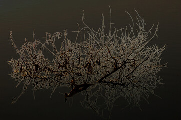 Abstraction from intertwined branches in digital processing