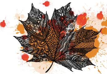 maple leaf sketch with black lines drawing, watercolor drops , colorful leaf on a white background, black and white, red, orange