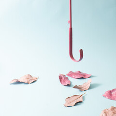 Beautiful fall. Colorful and vivid composition. Gentle leaves colors and pink umbrella handle.