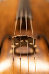 A close up of the strings of a cello in a very shallow depth of field © Janisphoto