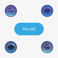 Iris of the eye set. Flat vector. Blue colored eye lenses. Flat design for store. Icons, eye logos. Modern illustration of human eye pupils. Realistic draw. The glass eyes of the dolls. Puppet eyes.