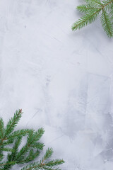 An empty space for text. Christmas background. Spruce branches background.